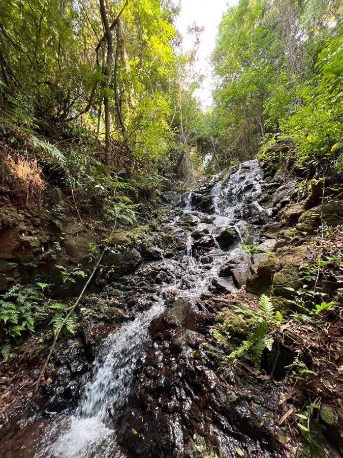 Hotel Fazenda Vale Alvorada كاسكافيل المظهر الخارجي الصورة